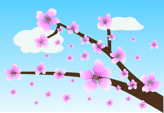 openclipart-vectors-fiori-1295439_640.png