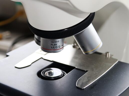 kermy-microscope-2182645_640.jpg